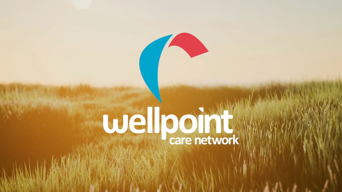 Wellpoint Logo image